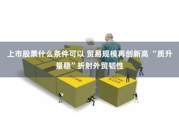 上市股票什么条件可以 贸易规模再创新高 “质升量稳”折射外贸韧性